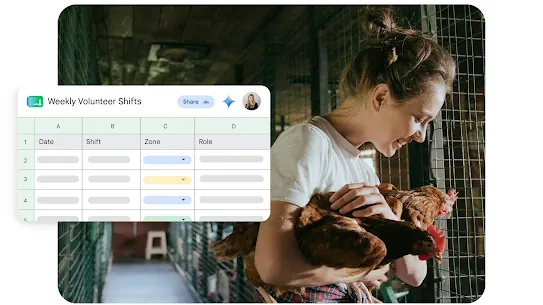 A product mockup overlay combining data management and community work. The background photo features a smiling woman holding two brown chickens inside a wooden coop or barn corridor. Layered over the left side is a Google Sheets user interface card titled "Weekly Volunteer Shifts," displaying columns for Date, Shift, Zone, and Role with placeholder dropdown fields.