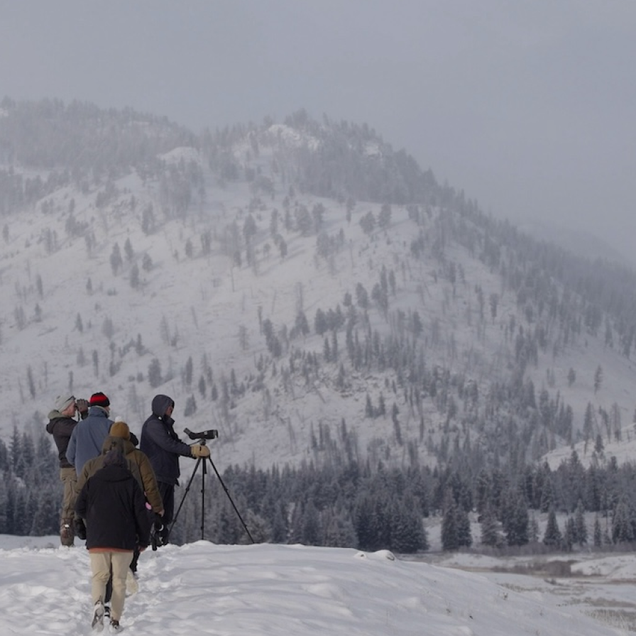 A group of people walking and taking in the view of a snow-covered landscape