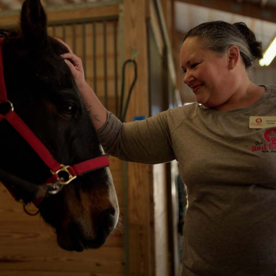 Red Barn staff member caring for a horse