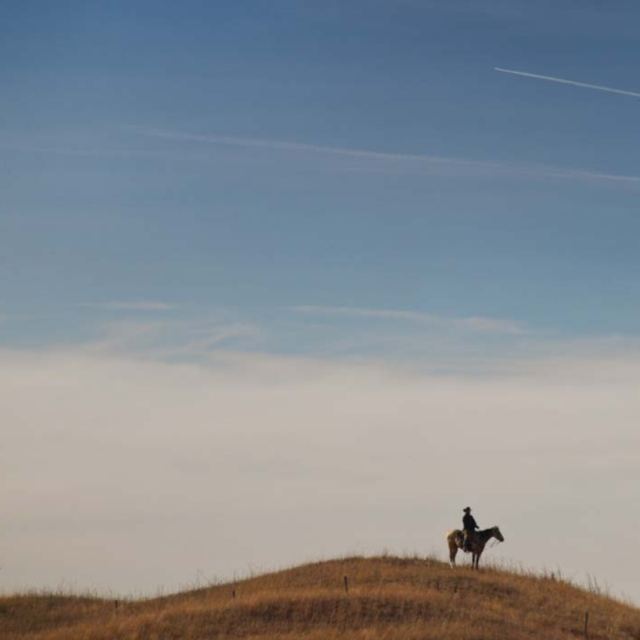 A horserider on a hill at Morgan Ranch