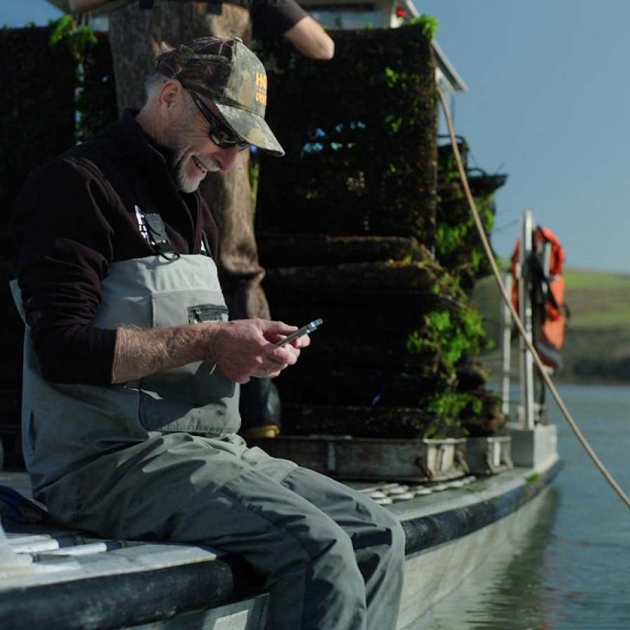 A man sitting while tracking inventory at Hog Island Oyster Co.