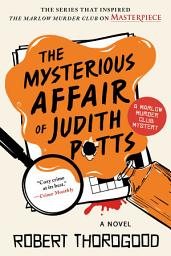 Icon image The Mysterious Affair of Judith Potts: A Novel